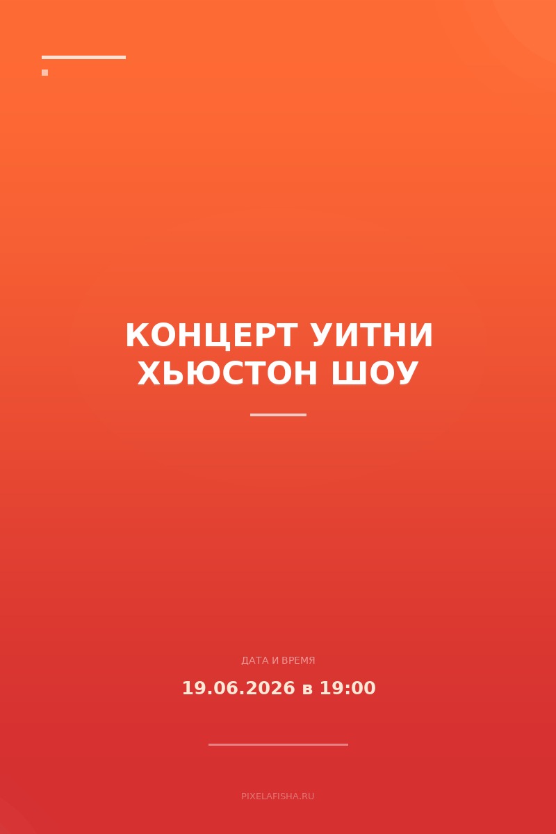 Концерт Уитни Хьюстон Шоу