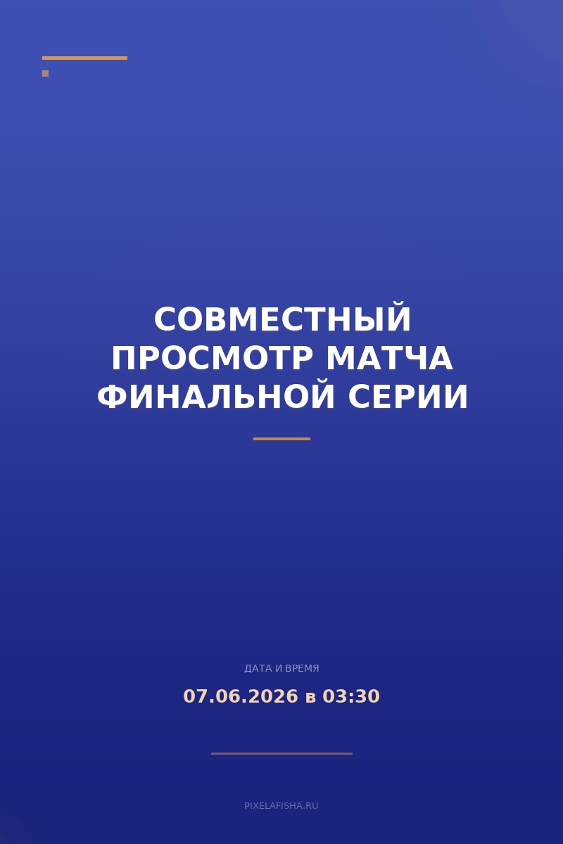 Совместный просмотр матча финальной серии
