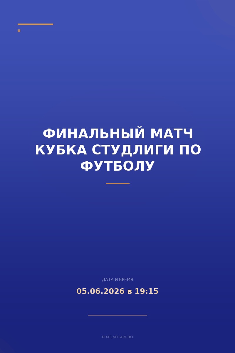 Финальный матч Кубка Студлиги по футболу