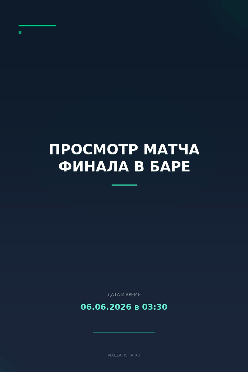 Просмотр матча финала в баре