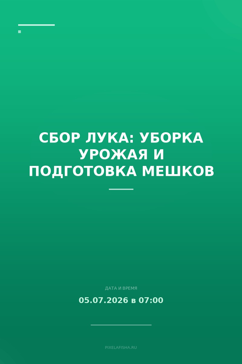 Сбор лука: уборка урожая и подготовка мешков