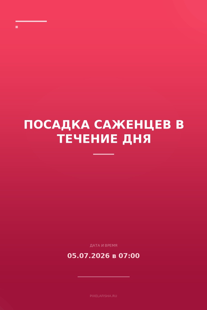 Посадка саженцев в течение дня