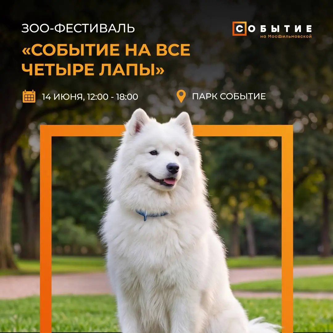 Фестиваль "Событие на все Четыре Лапы"