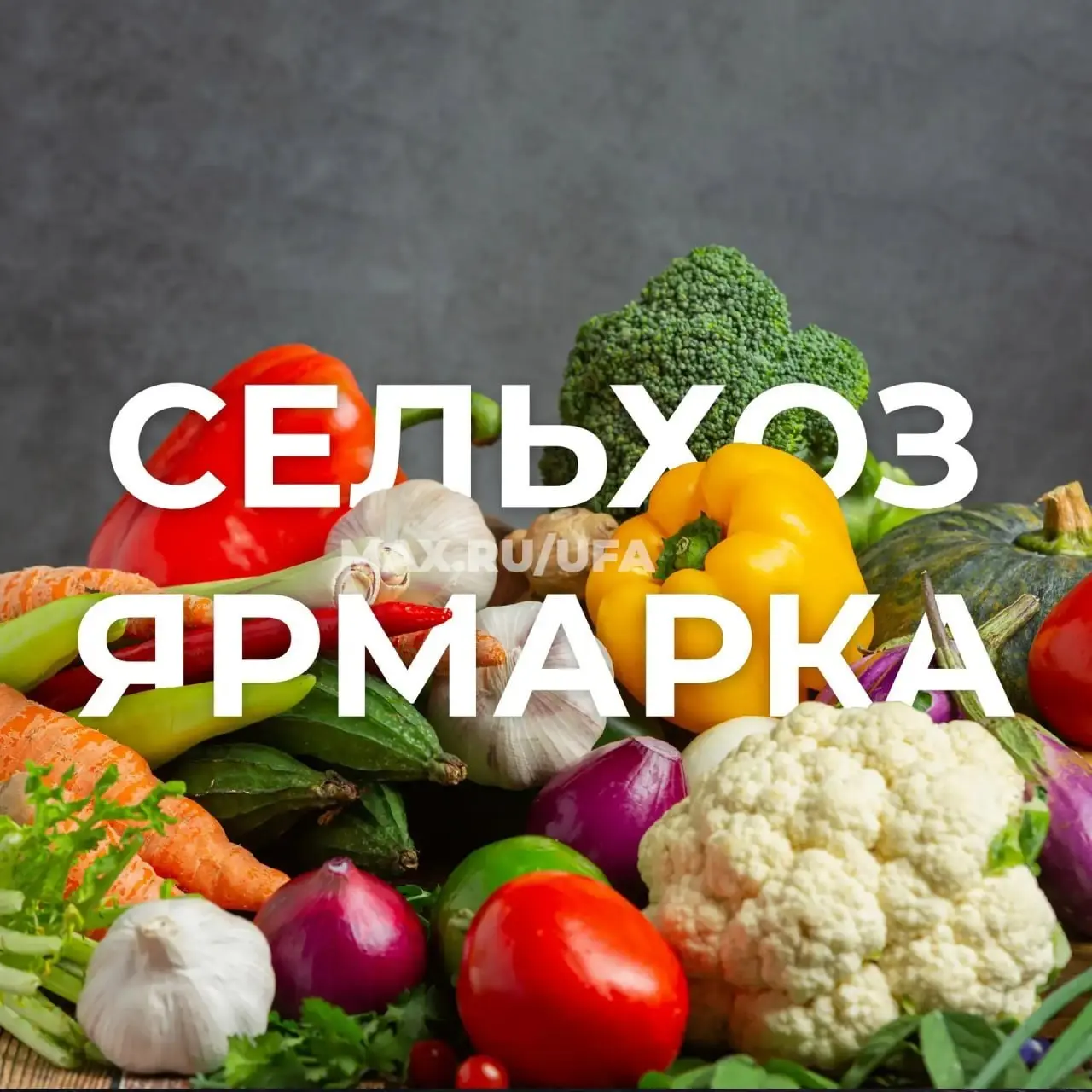 Ярмарка выходного дня с башкирскими продуктами
