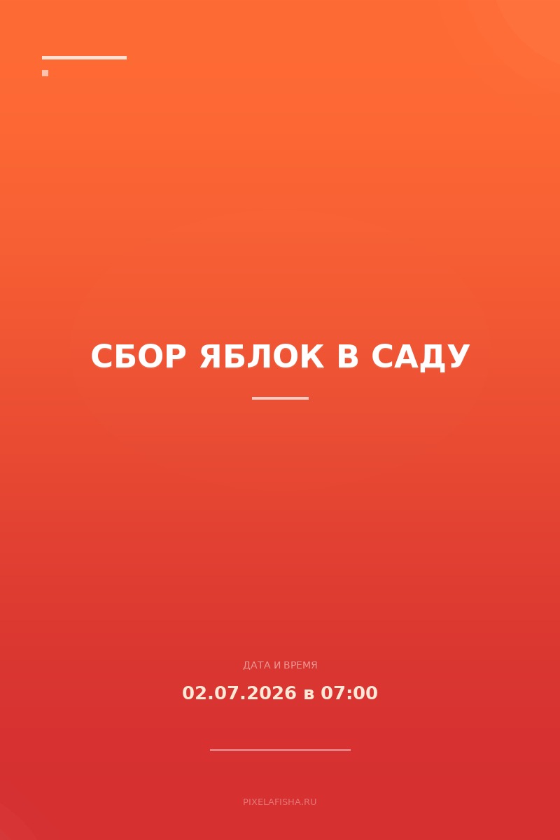 Сбор яблок в саду