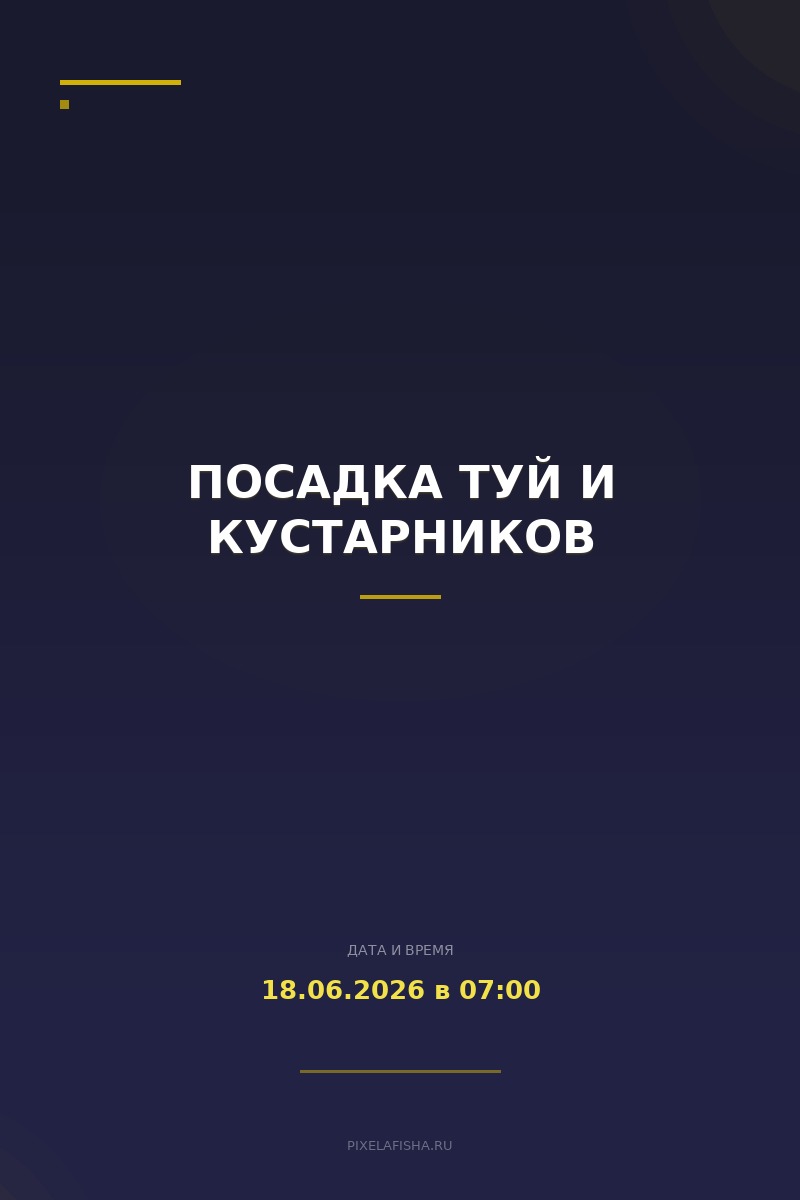 Посадка туй и кустарников