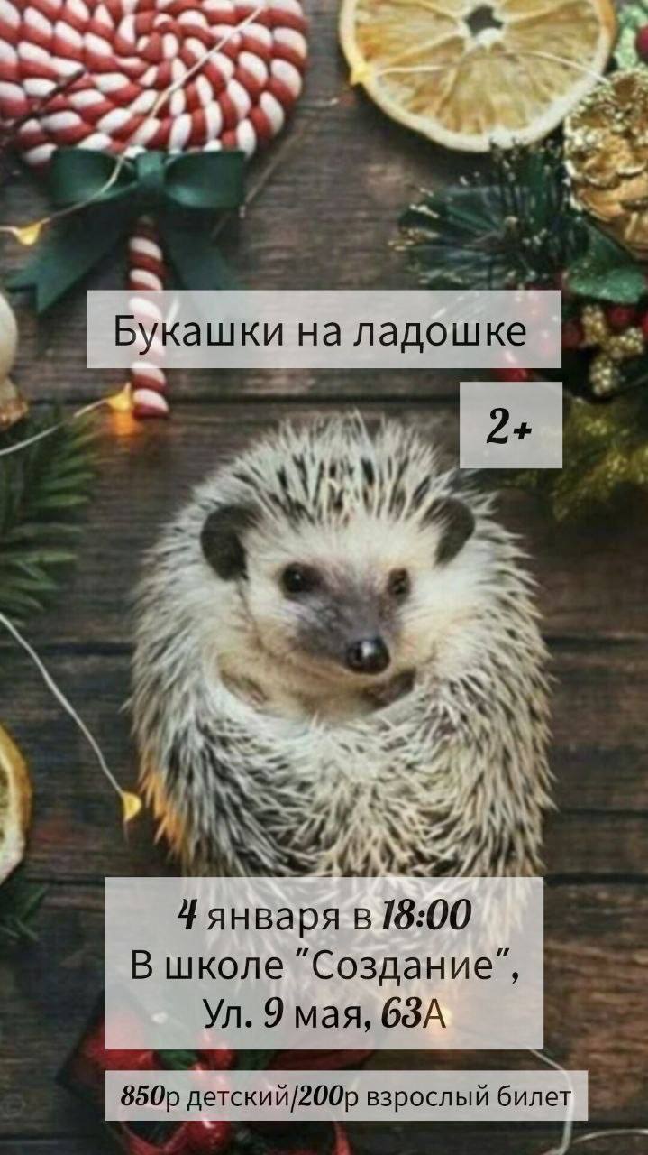 Новогодние каникулы