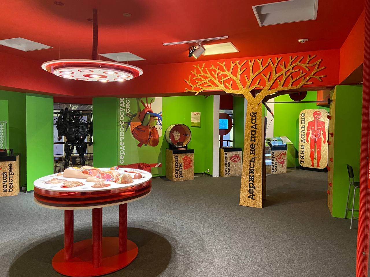 Каникулы с наукой? 2 выставки по цене одной