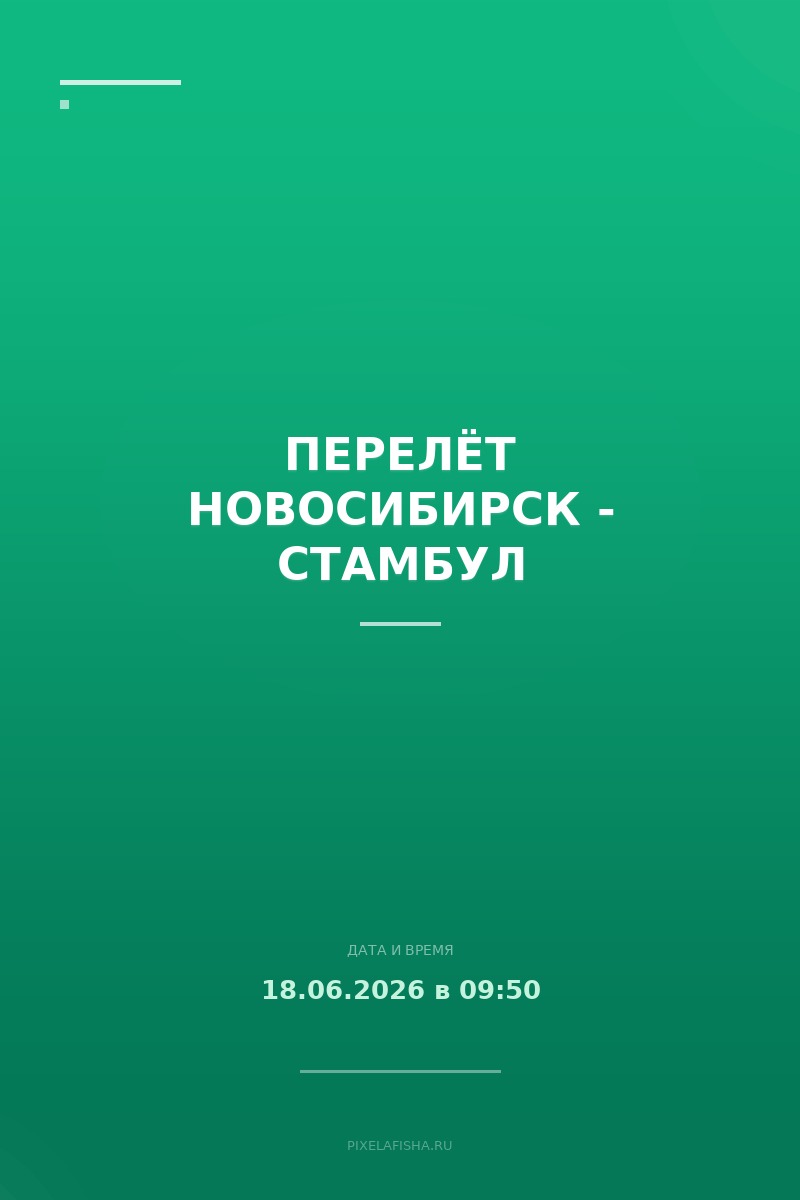 Перелёт Новосибирск - Стамбул