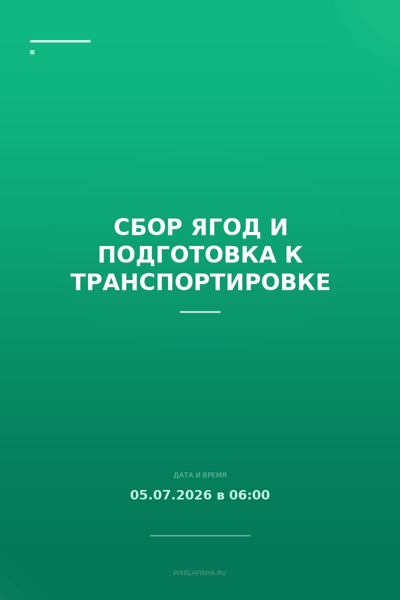 Сбор ягод и подготовка к транспортировке