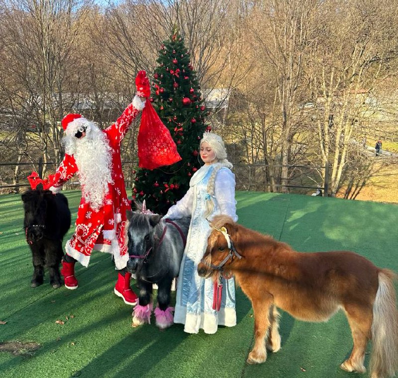 Мастер-классы и праздничная программа