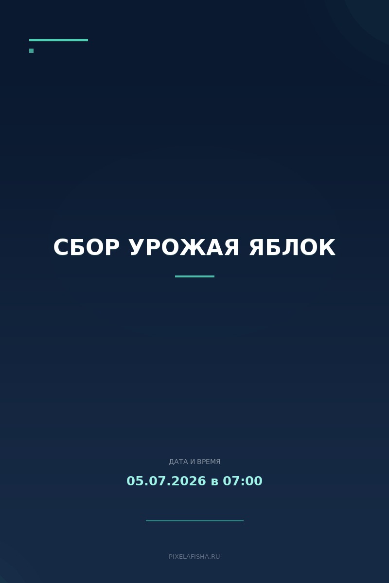 Сбор урожая яблок