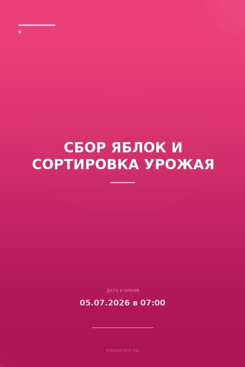 Сбор яблок и сортировка урожая