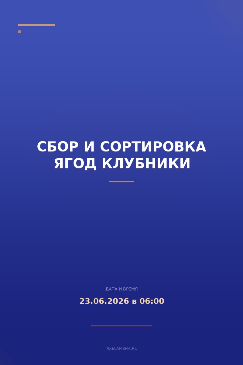 Сбор и сортировка ягод клубники
