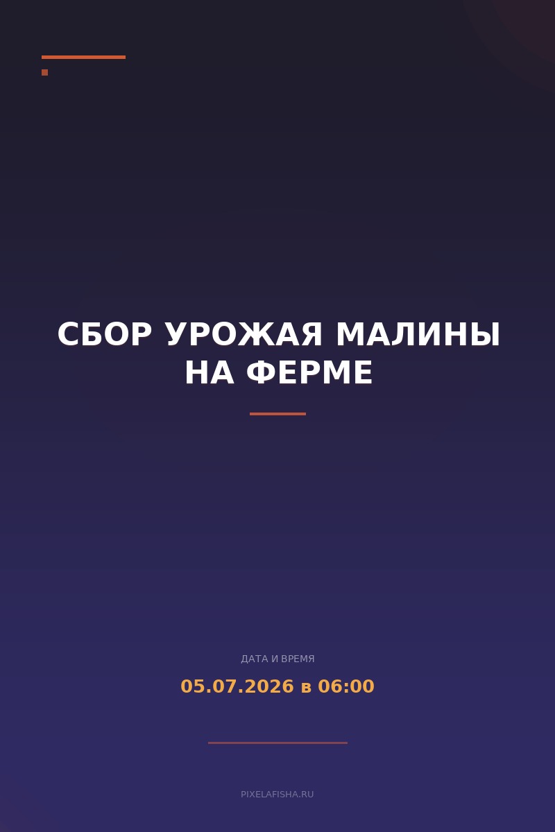 Сбор урожая малины на ферме