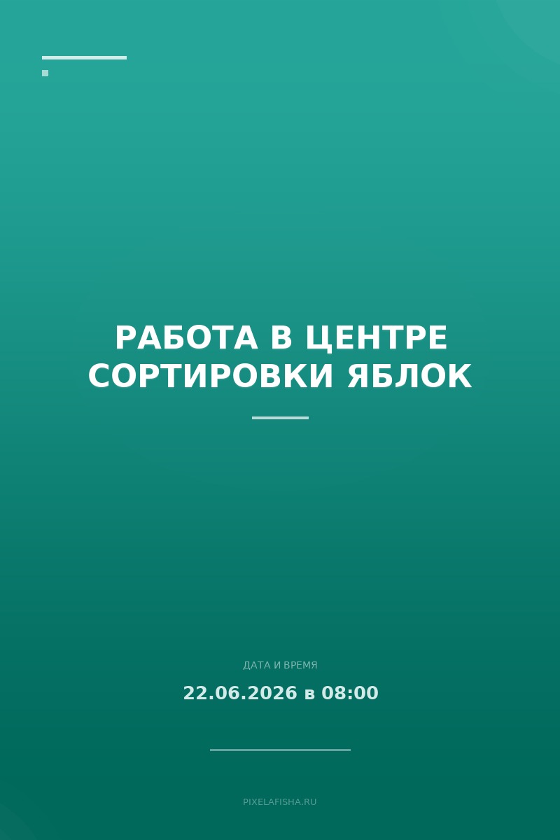 Работа в центре сортировки яблок