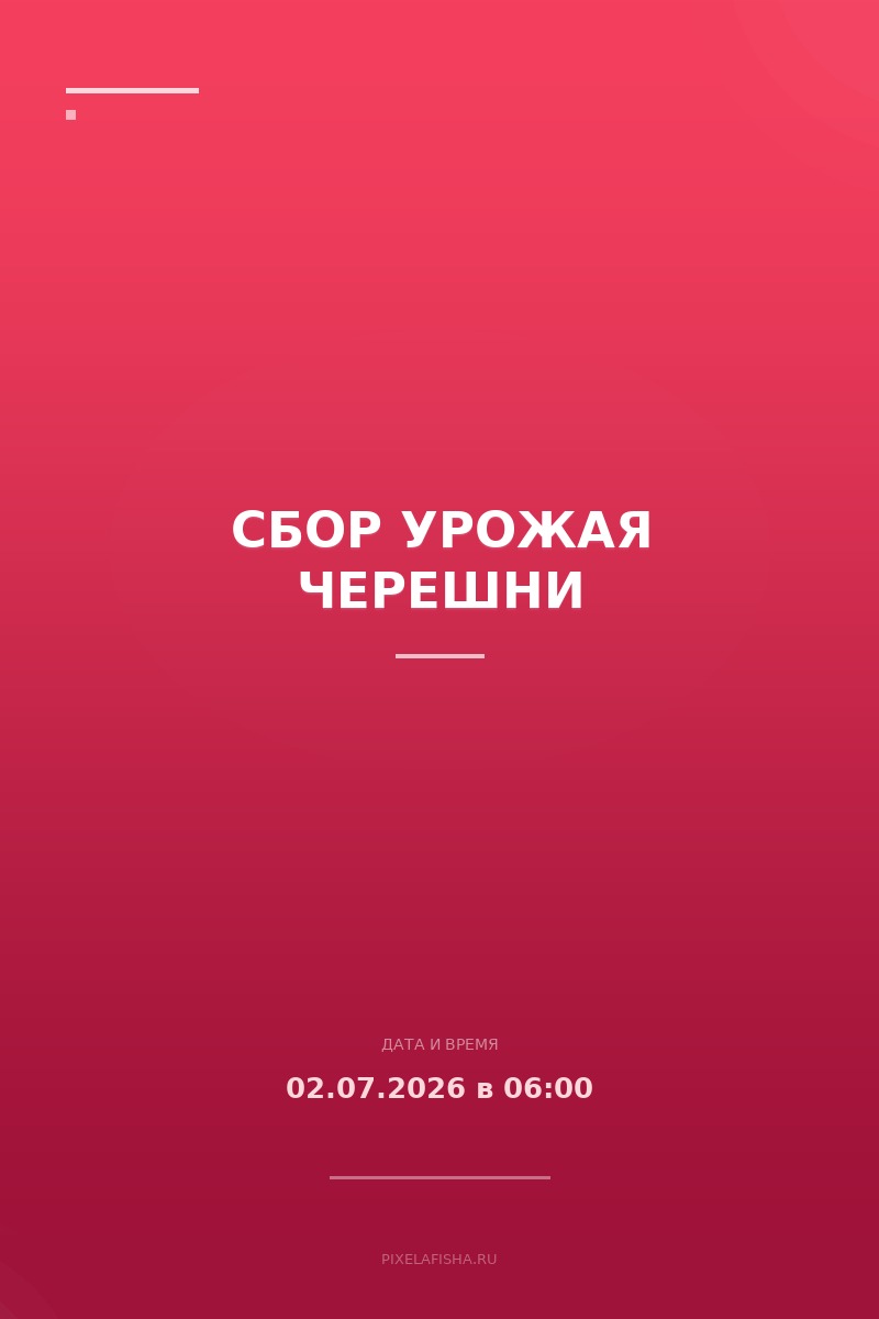 Сбор урожая черешни