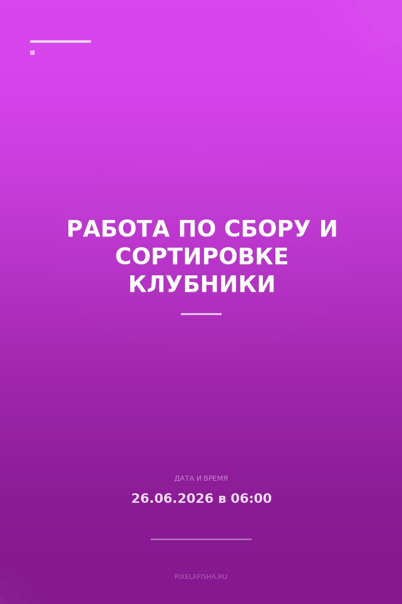 Работа по сбору и сортировке клубники