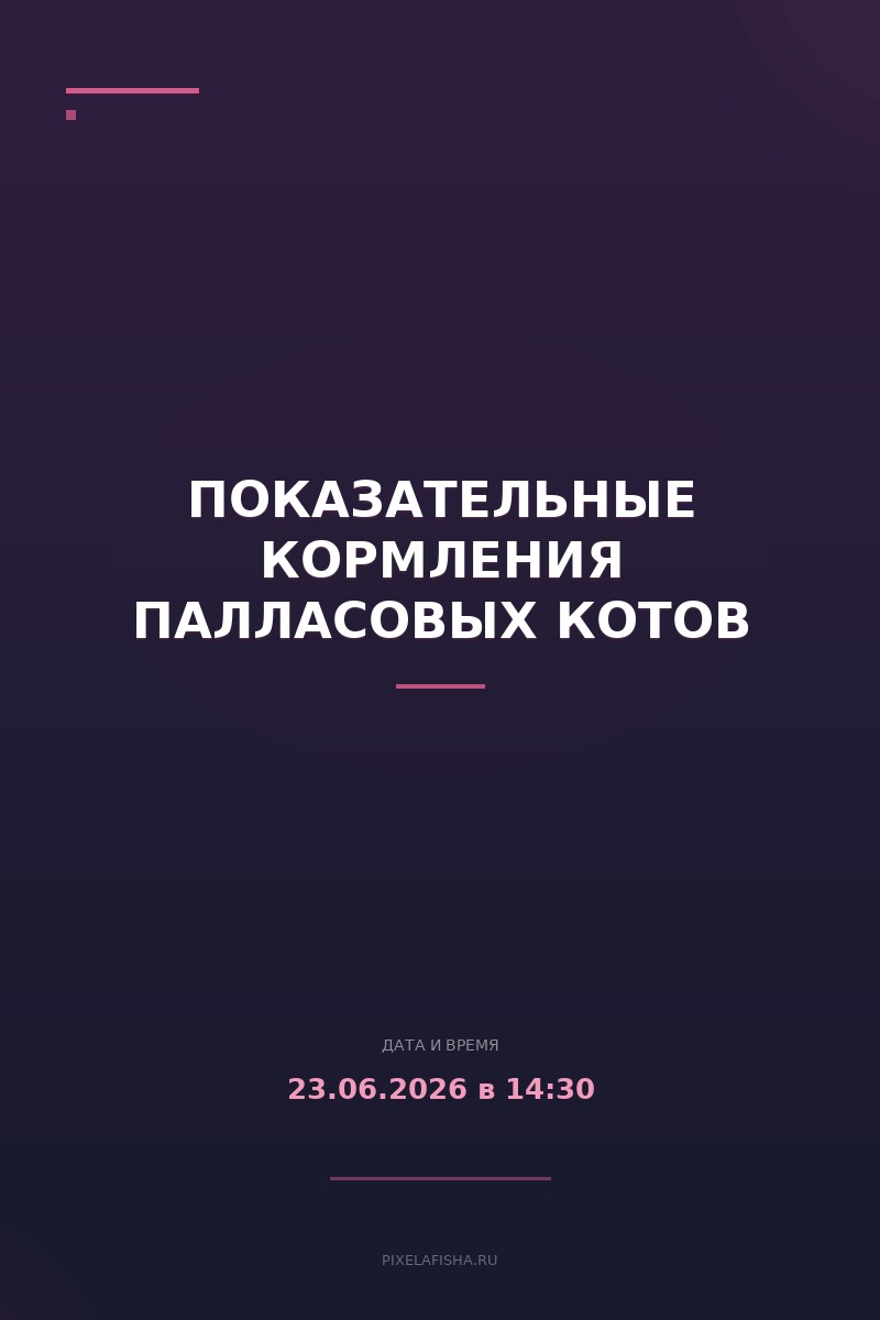 Показательные кормления палласовых котов