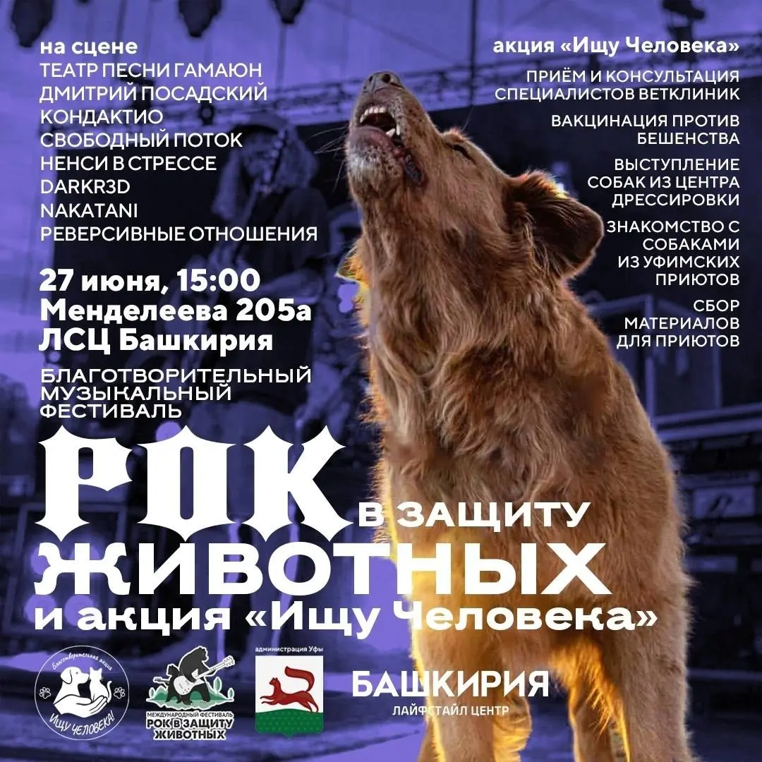 Фестиваль Рок в Защиту Животных и акция Ищу Человека