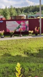 Посещение питомника метельчатых гортензий "Марёнкино Парк"