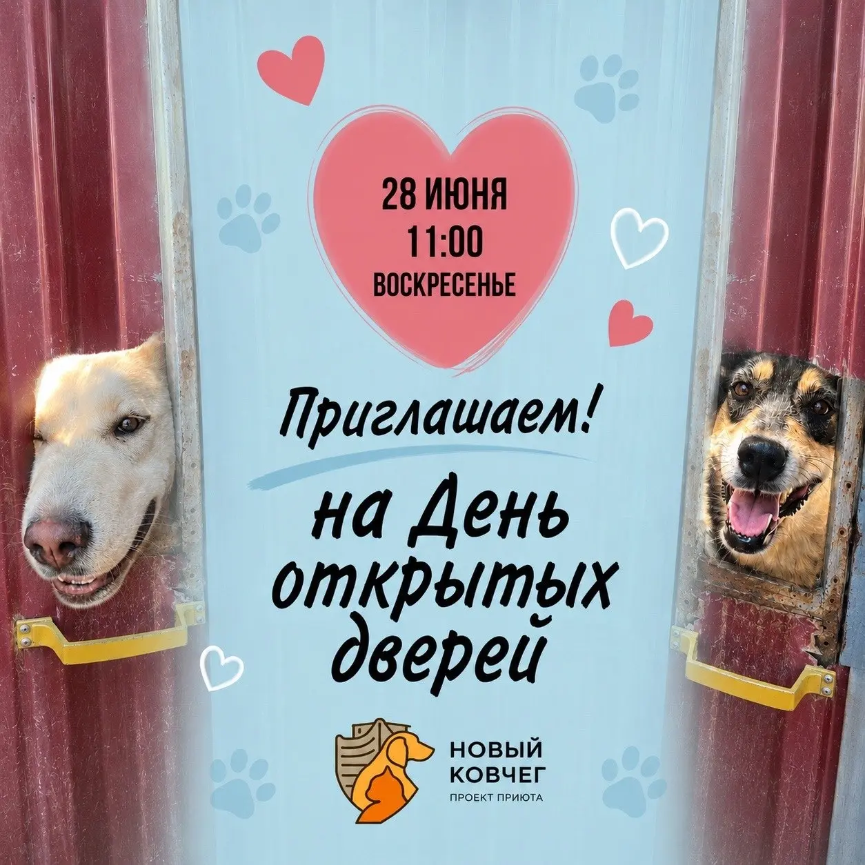 День открытых дверей в приют Новый Ковчег