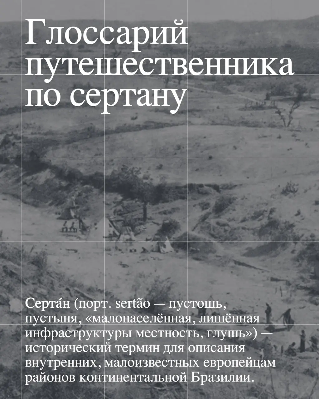 Лекция Ольги Окуневой о "Сертанах"