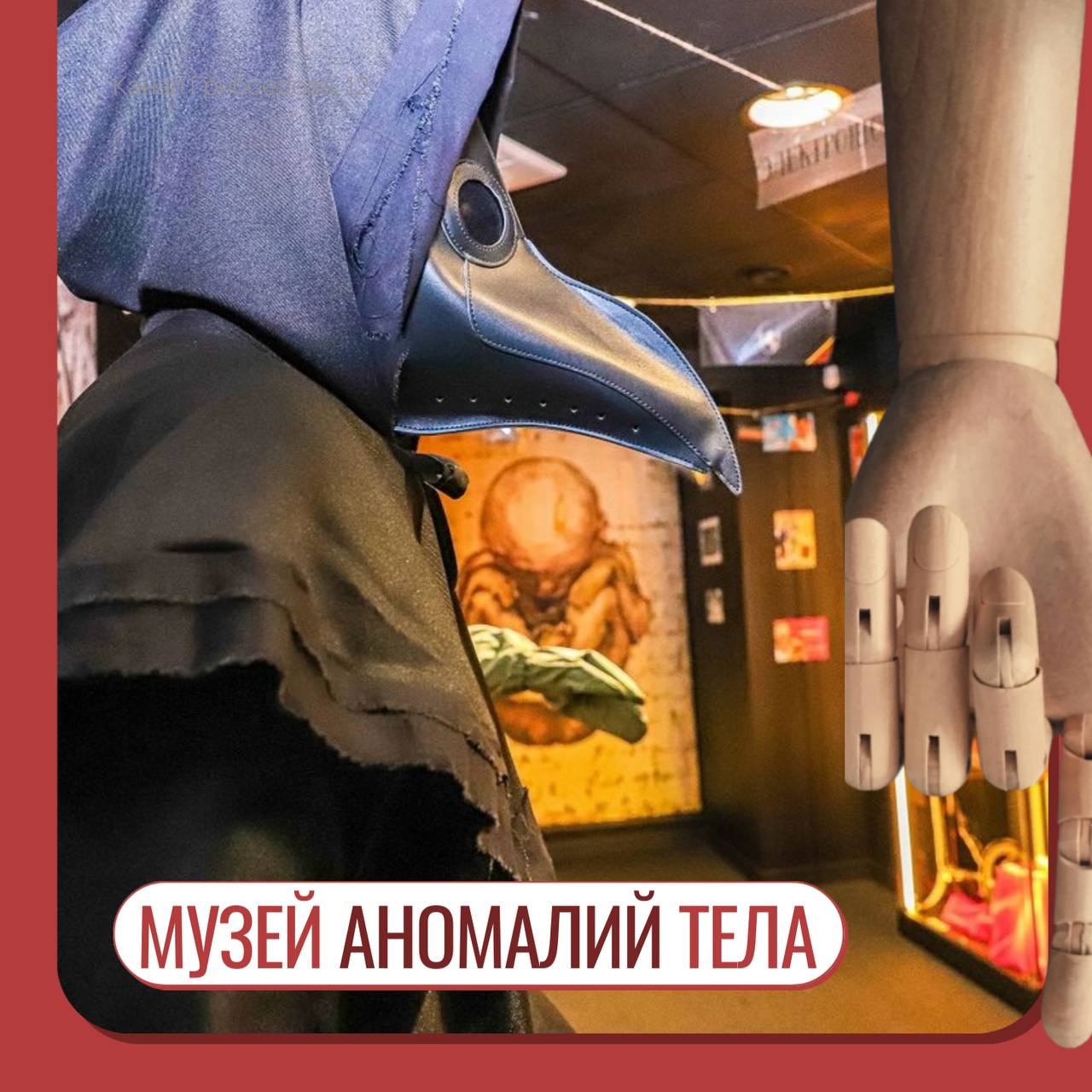 Музей аномалий тела