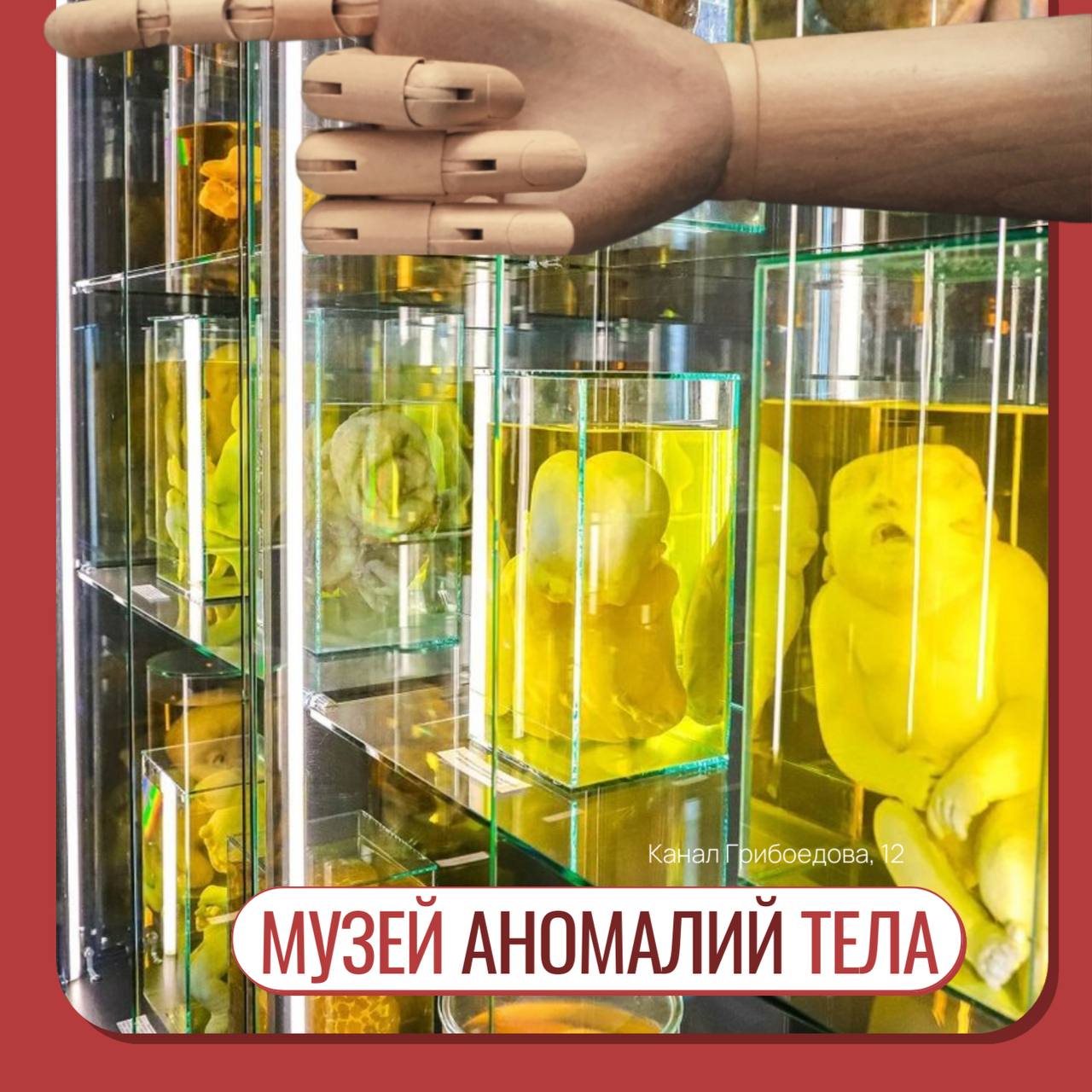 Музей аномалий тела