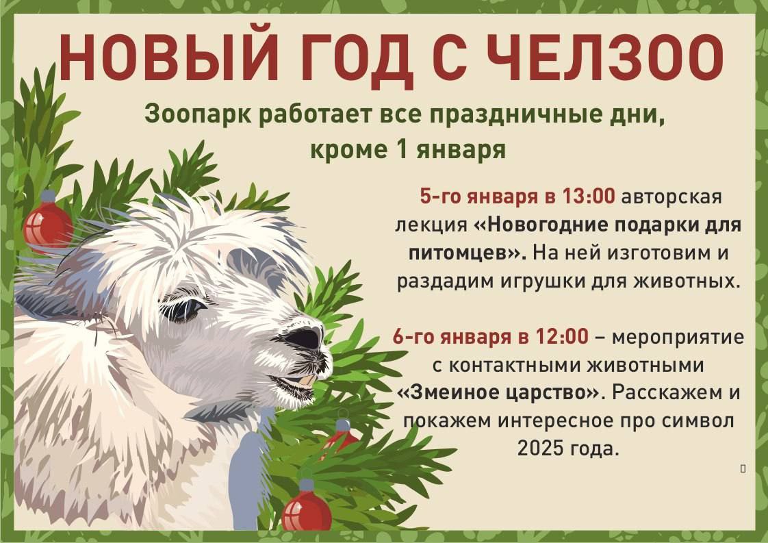 Новогодние мероприятия зоопарка