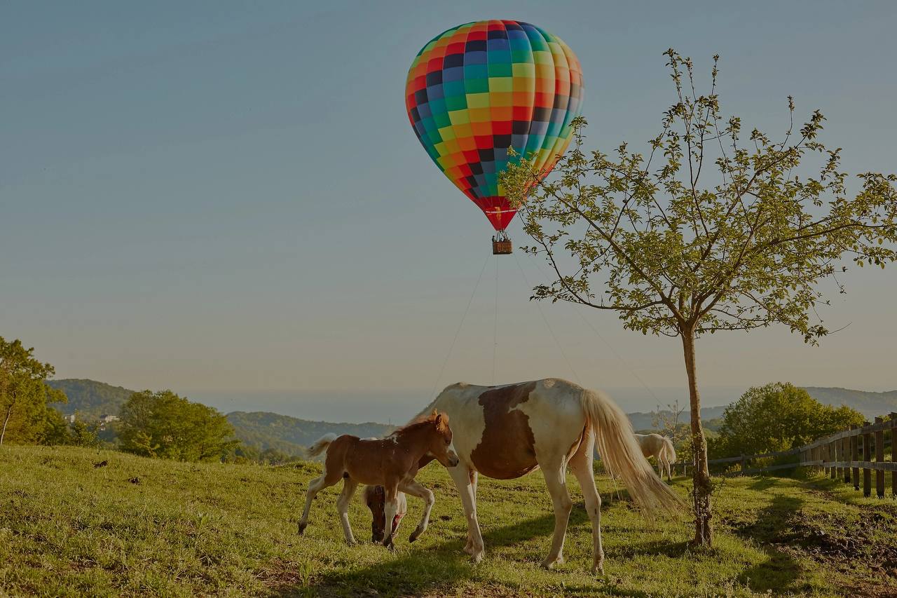 Полеты на воздушном шаре