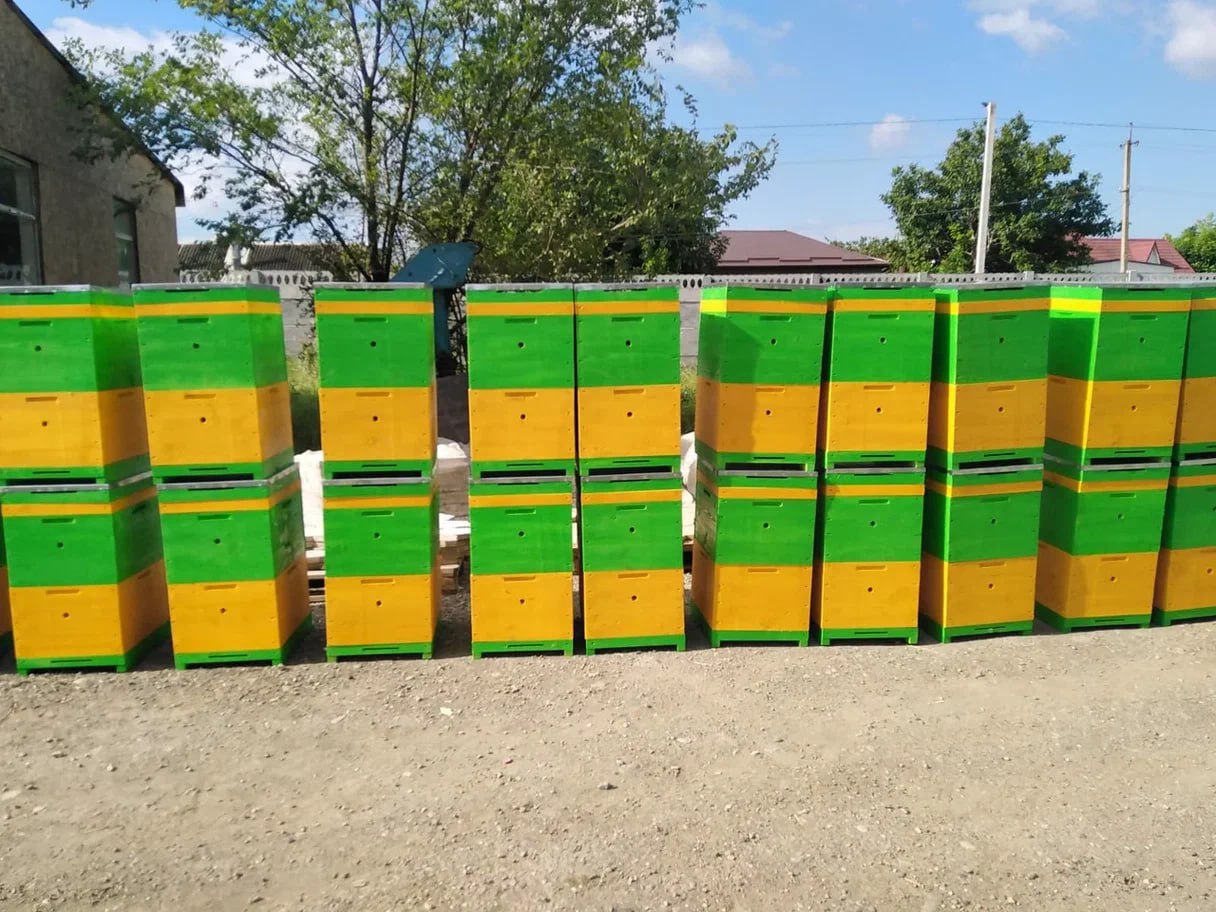 Больше ульев хороших и разных