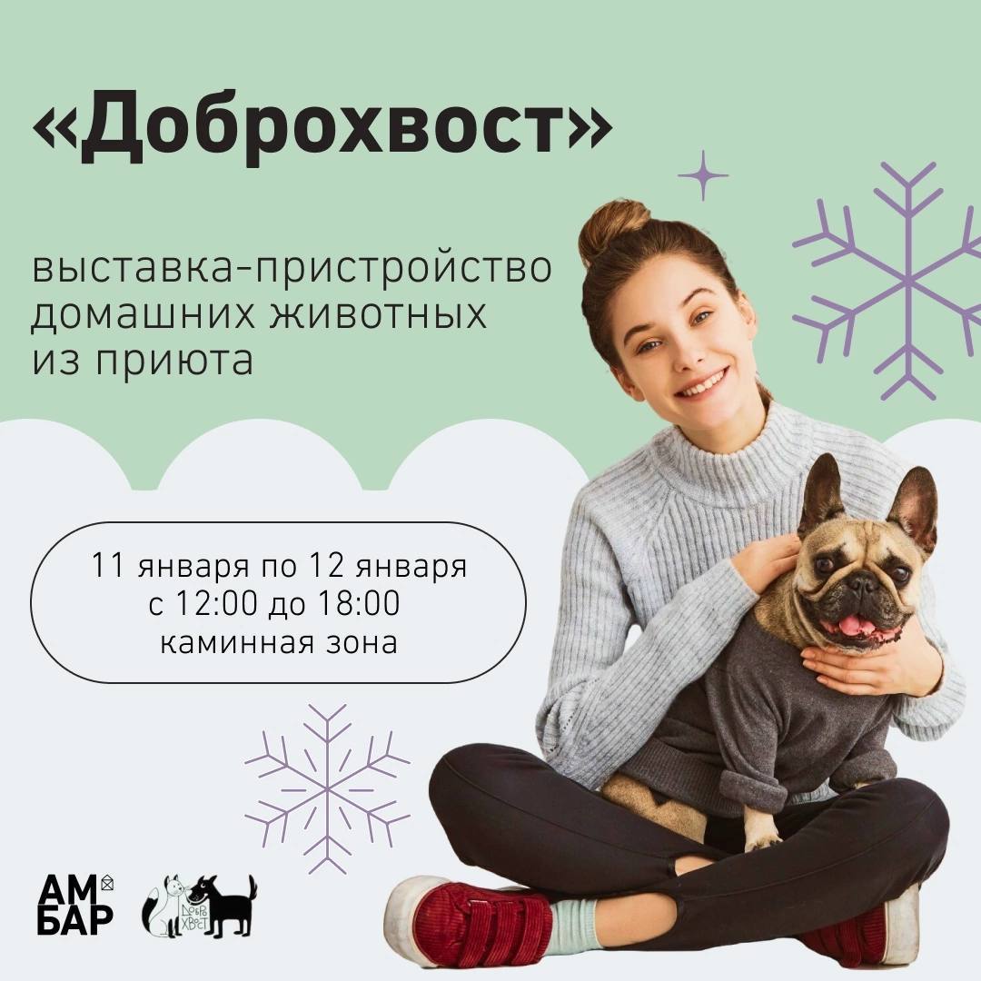 Выставка-пристройство домашних животных