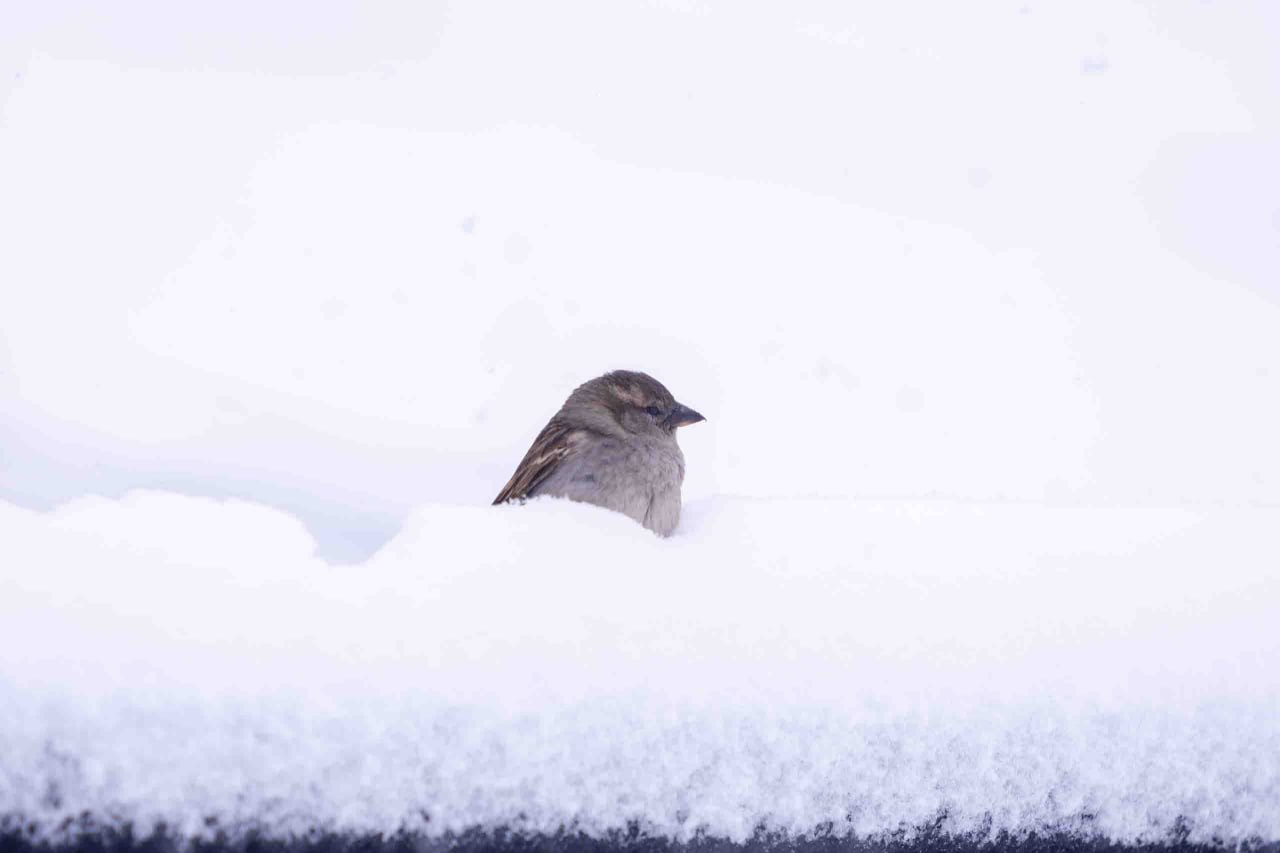 Мастер-класс по лепке из глины
