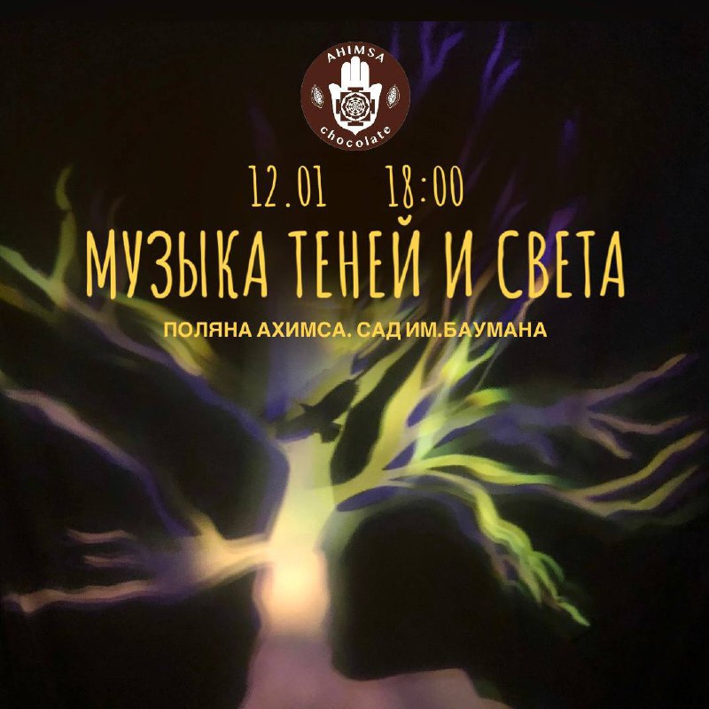 Театр теней и живой музыки