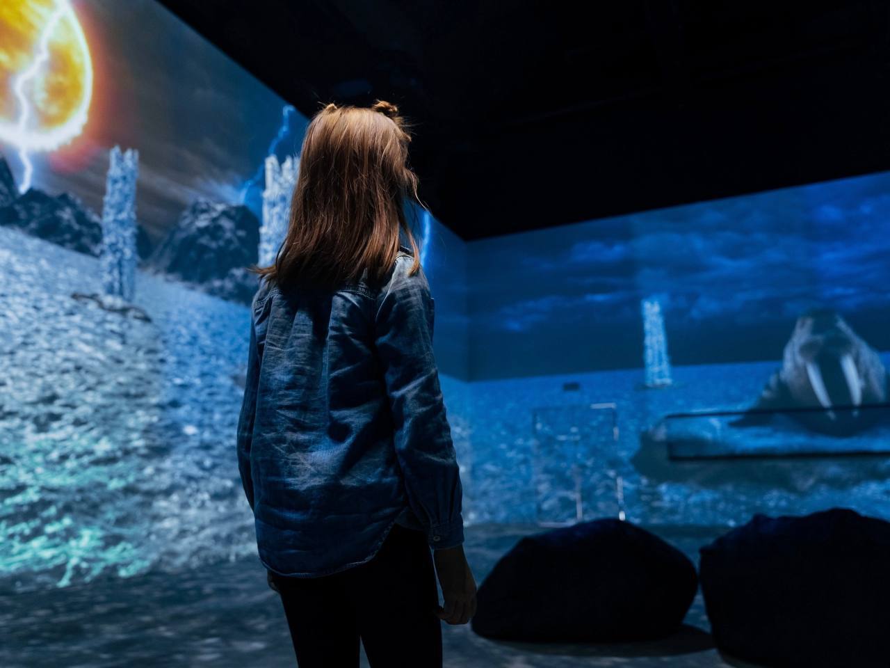 Три новые иммерсивные выставки