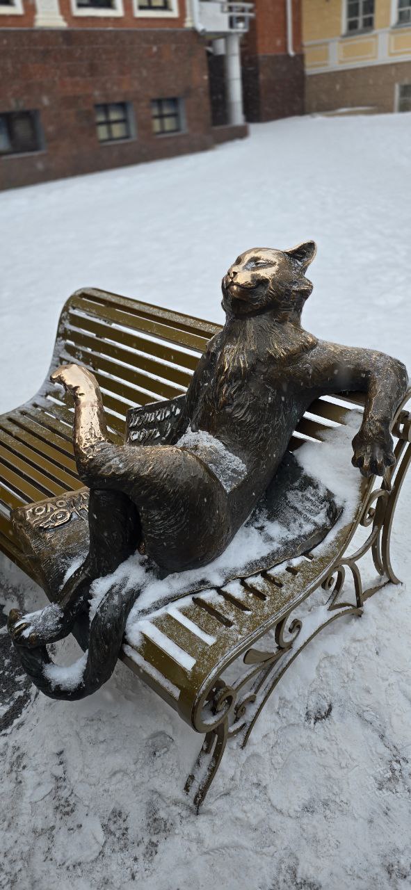 Йошкина котосемья с семью котятами