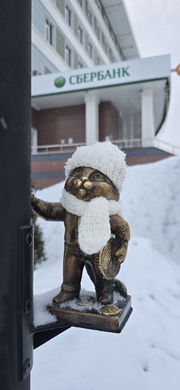 Йошкина котосемья с семью котятами