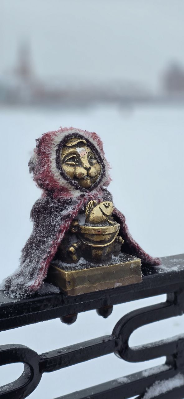 Йошкина котосемья с семью котятами