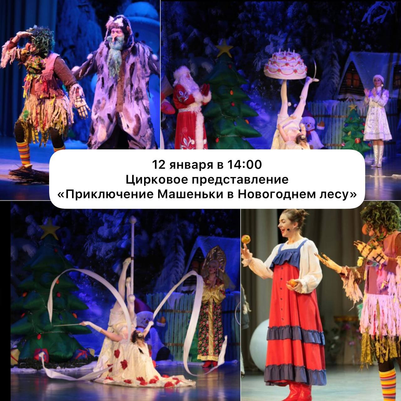 Цирковое представление и спектакли Холодное сердце и Морозко