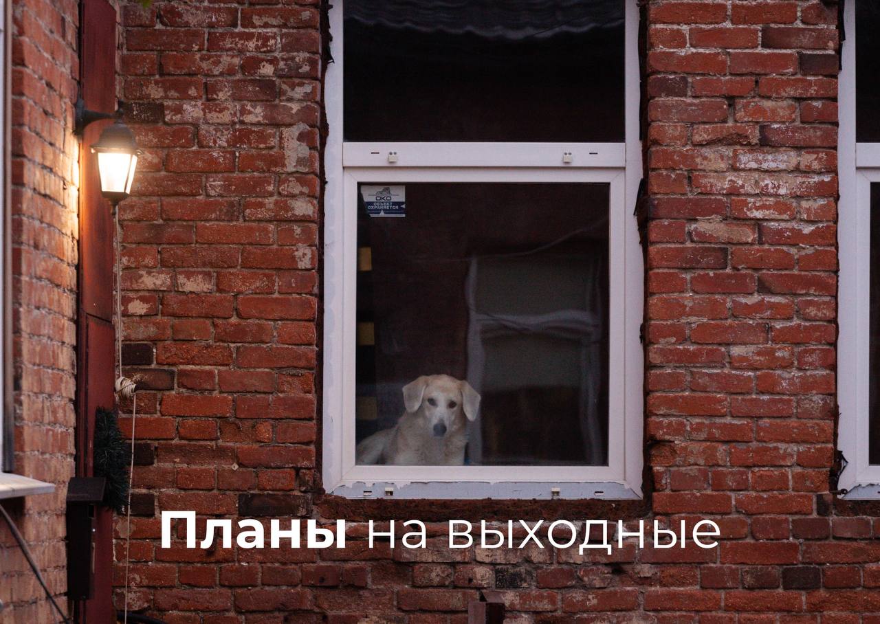 Чем заняться на этих выходных