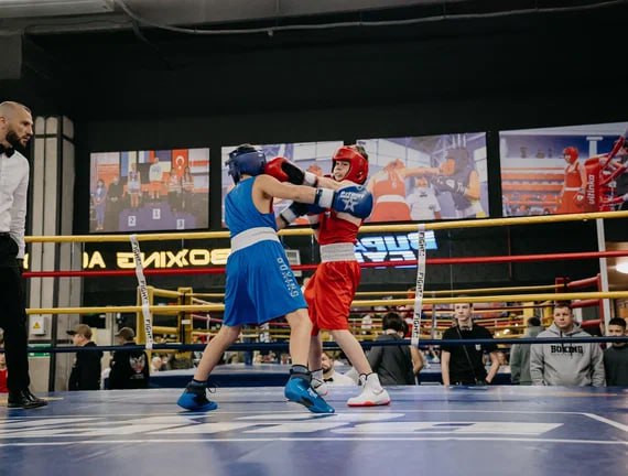 Первенство Краснодара по боксу
