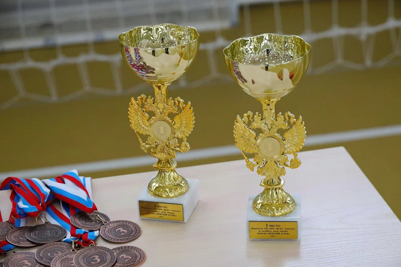 РОЖДЕСТВЕНСКИЙ КУБОК ПО ВОЛЕЙБОЛУ