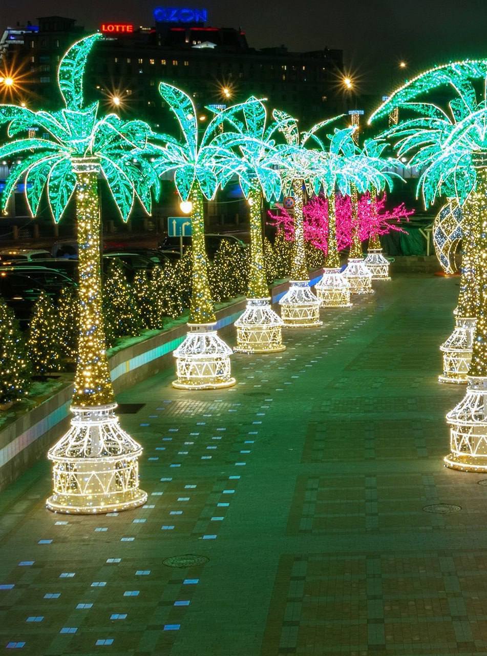 Восхитительные пальмы на набережной Тараса Шевченко