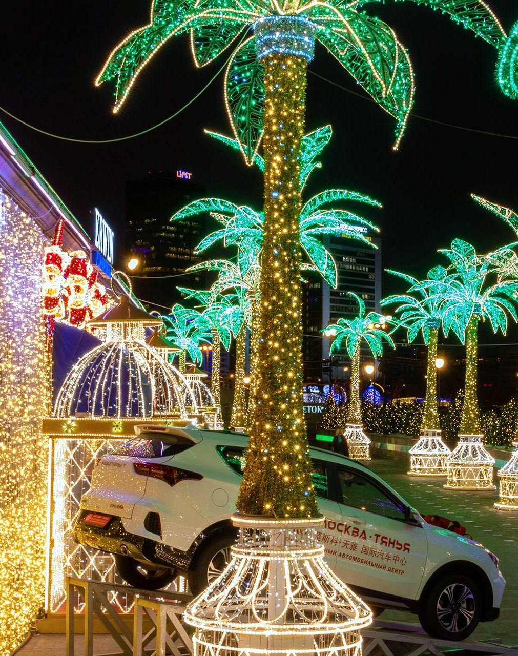 Восхитительные пальмы на набережной Тараса Шевченко