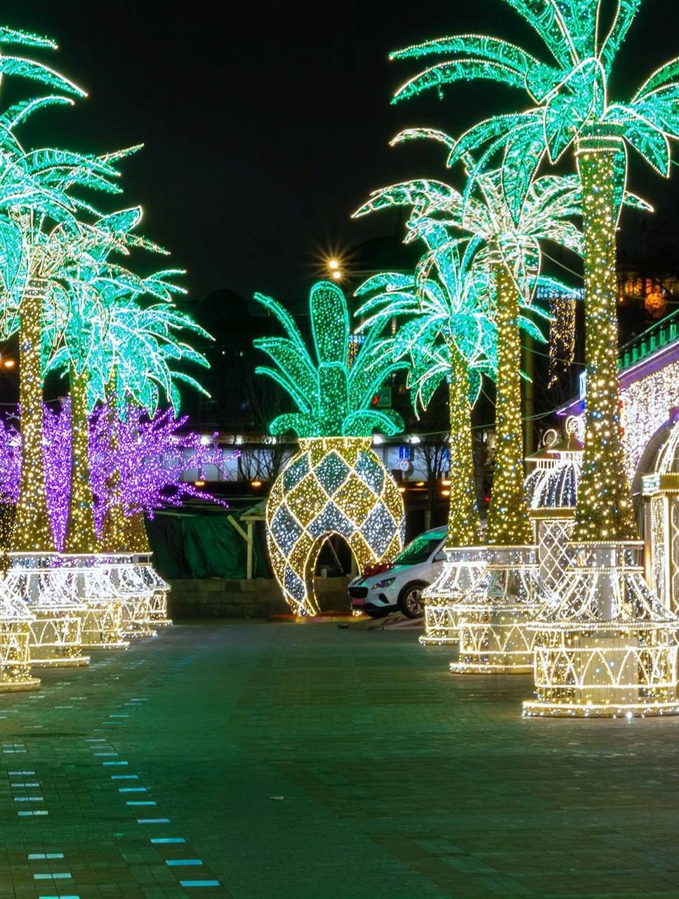 Восхитительные пальмы на набережной Тараса Шевченко