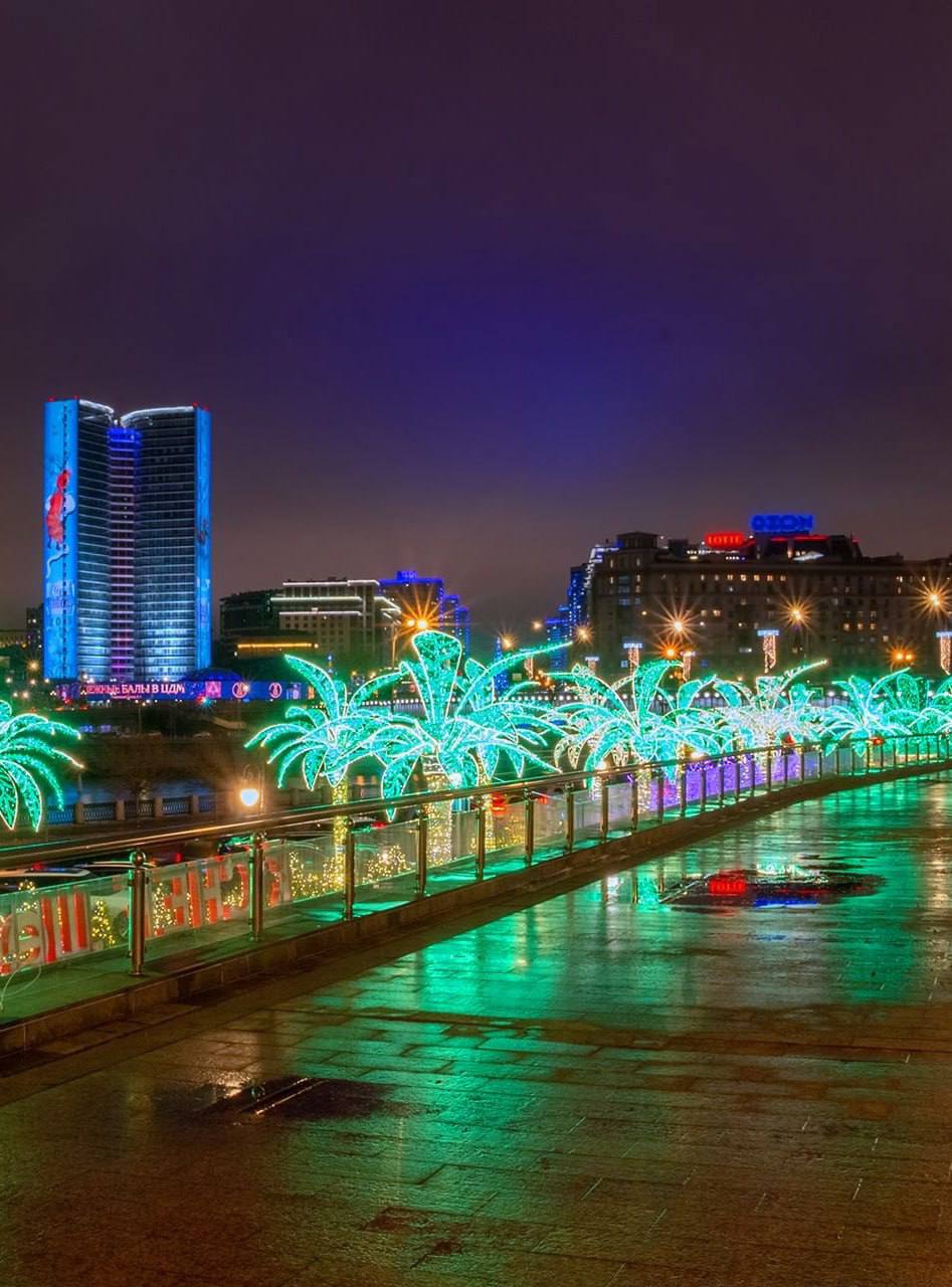 Восхитительные пальмы на набережной Тараса Шевченко