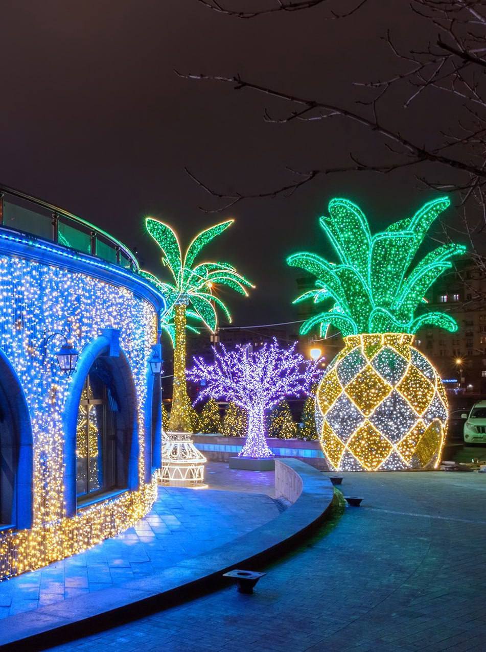 Восхитительные пальмы на набережной Тараса Шевченко