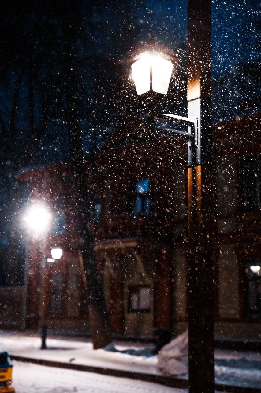 Концерт «Новогодний променад»