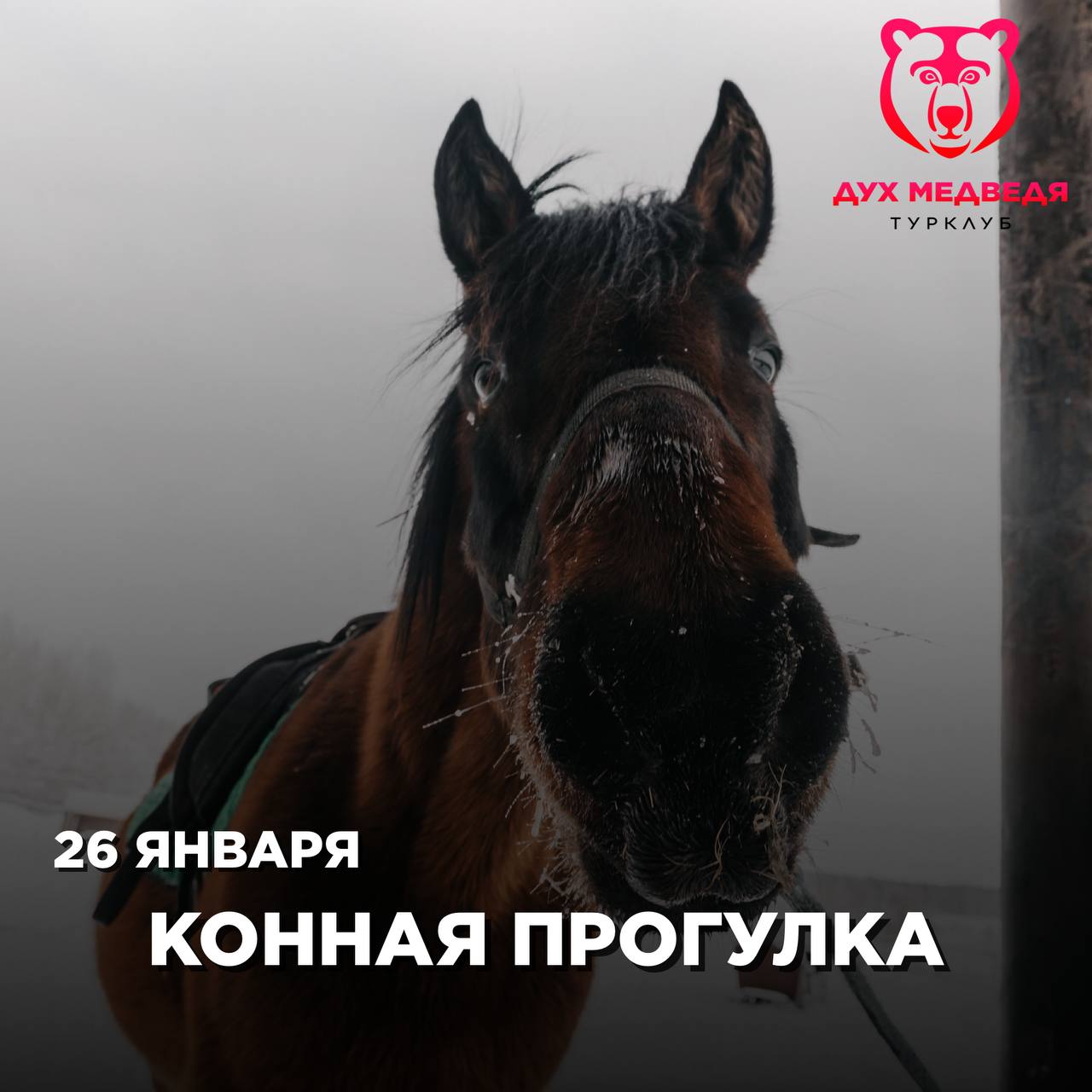 Активные выходные в Турклубе